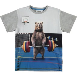 luomu puuvilla t-paita molokids