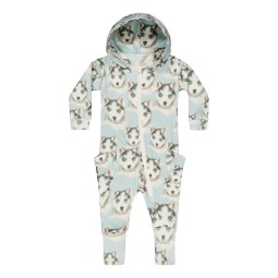 gollegehaalri koirahaalari